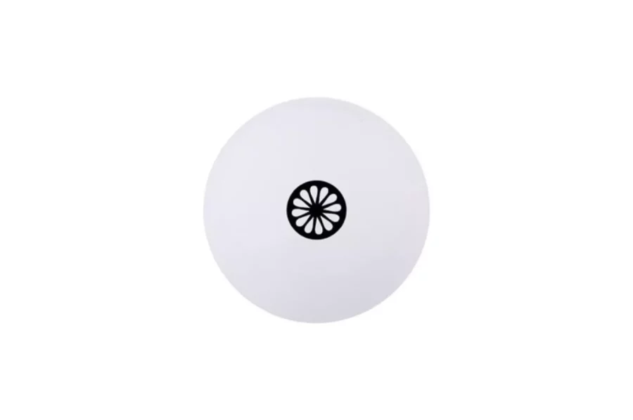 THE INDIAN MAHARADJA 10430021 HOCKEYBALL-WHITE