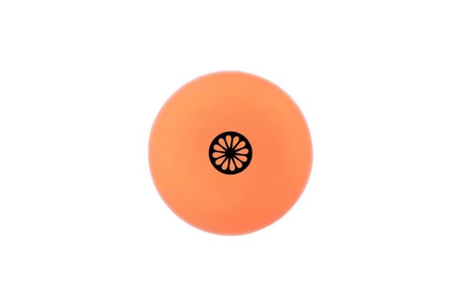 THE INDIAN MAHARADJA 10430023 HOCKEYBALL-ORANGE