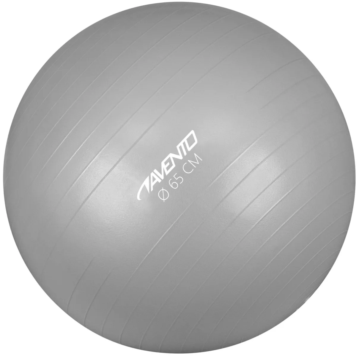 AVENTO 42OB Fitness Bal 65 CM-SLV Zilver