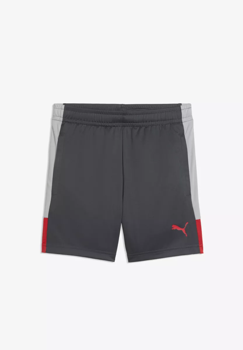 PUMA 660574 IndividualLIGA short-001 GRAY ECHO-DUSKY GRAY-PUMA RED